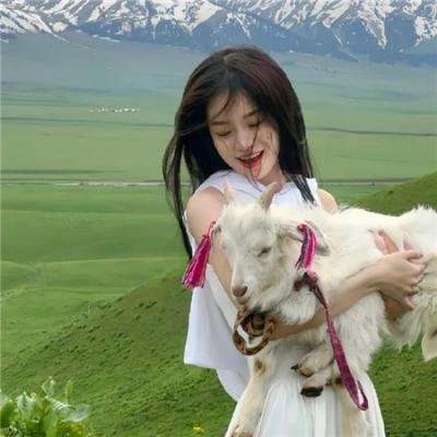 非屠龙童话