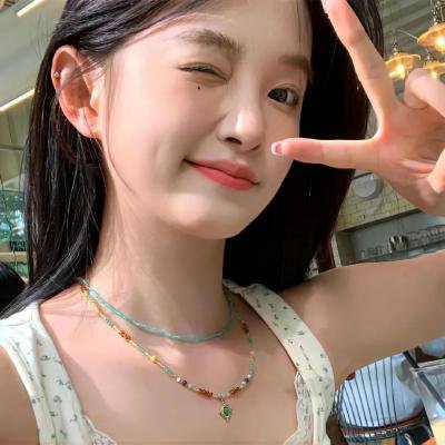 安妮·李斯特的秘密日记
